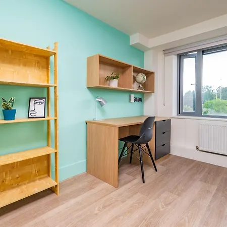 Refurbished Ensuite With Shared Kitchen At Montrose In 公寓 都柏林