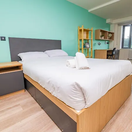 公寓 Refurbished Ensuite With Shared Kitchen At Montrose In *